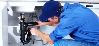 Best Garbage Disposal Repair and Installation  in Frent Hills, MO